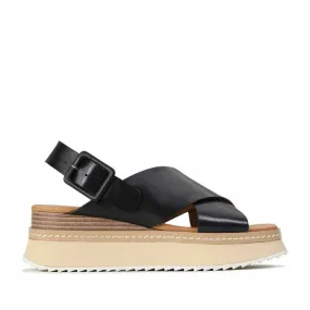EOS TONALITIES BLACK