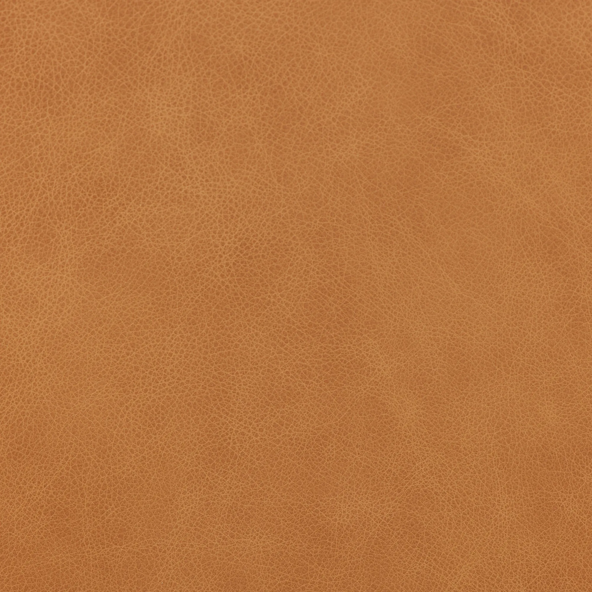 Kerrigan 2-Seat Sofa - Tan